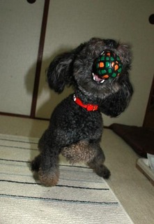 IMG_9601.jpg