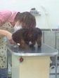 200803011258000.jpg