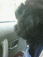 200803011323000.jpg