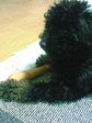 200803231225000.jpg