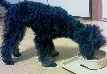 200805261938000.jpg