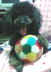 200810162140000.jpg