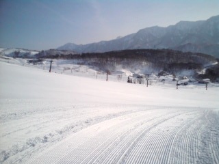 20100111083137.jpg