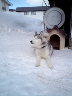 20100111132417.jpg