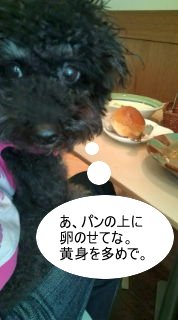 20100228102857.jpg