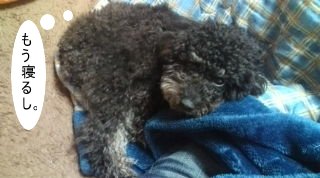 20100228113855.jpg