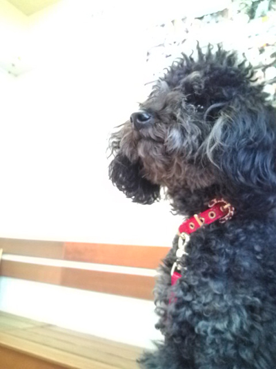 20101127100658.jpg