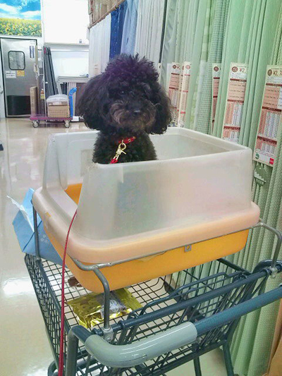 20101127104701.jpg