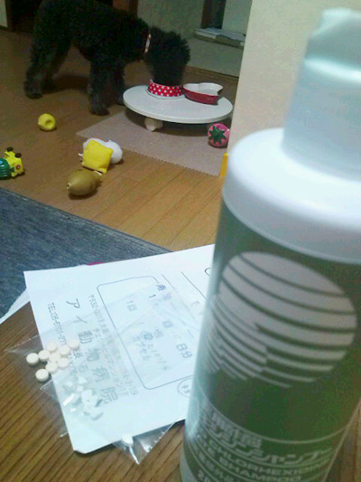 20101127213710.jpg