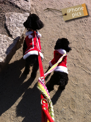 20120108f.jpg