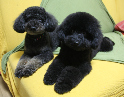 20120212a.jpg