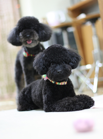 20120528a.jpg