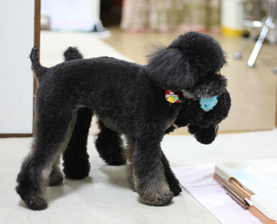 20120528e.jpg