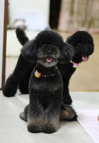 20120528g.jpg