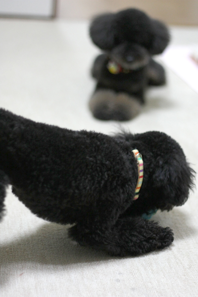 20120528i.jpg