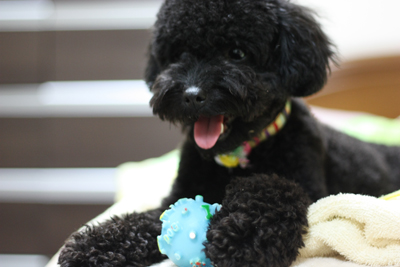 20120528j.jpg