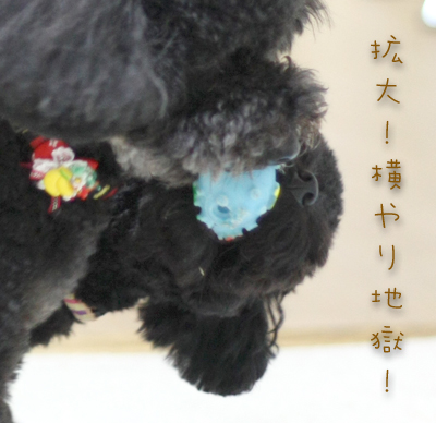 20120528k.jpg