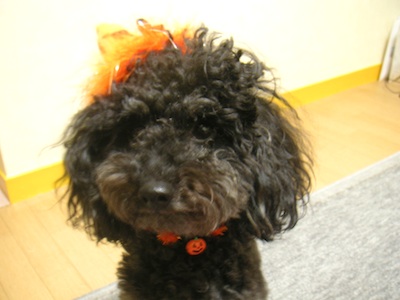 PICT0004.jpg