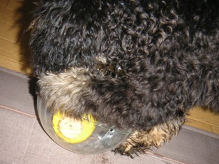 PICT0788.JPG