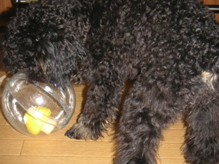 PICT0790.JPG