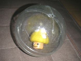 PICT0791.JPG