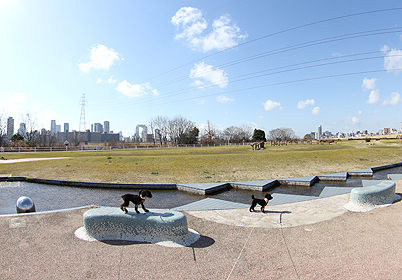 m0224c.jpg